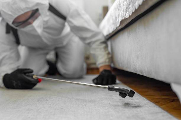 Professional Termite Control technician working in Rutland County County, VT
